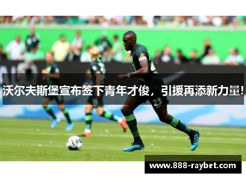 沃尔夫斯堡宣布签下青年才俊，引援再添新力量!